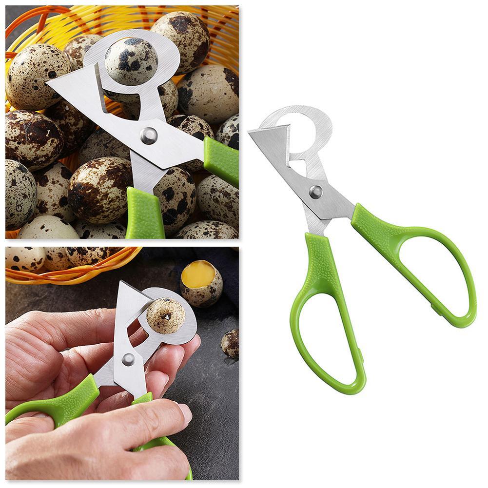 Piccione Quaglia Open Crack Pi - Egg Separator Tool recensione e prezzo