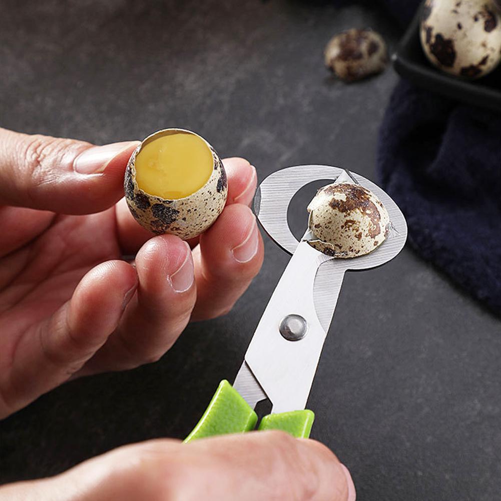 Piccione Quaglia Open Crack Pi - Egg Separator Tool recensione e prezzo